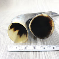 2 Polished Cow Horns #4653 Natural colored