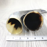 2 Polished Cow Horns #4653 Natural colored