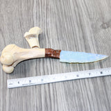 Deer Bone Handle Opalite Blade Ornamental Knife #4962     Mountain Man Knife