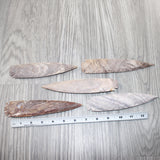 5 Stone Ornamental Spearheads  #0962     Agate Jasper Arrowheads