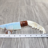 Coyote Jaw Handle Opalite Blade Ornamental Knife #1962     Mountain Man Knife
