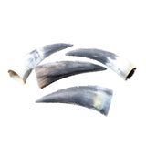 4 Small Raw Unfinished Cow Horns #4853   Natural Colored a