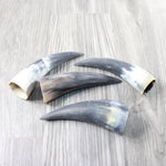 4 Small Raw Unfinished Cow Horns #4853   Natural Colored