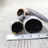 4 Small Raw Unfinished Cow Horns #4853   Natural Colored a
