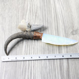Springbok Horn Handle Opalite Blade Ornamental Knife #1953  Mountain Man Knife