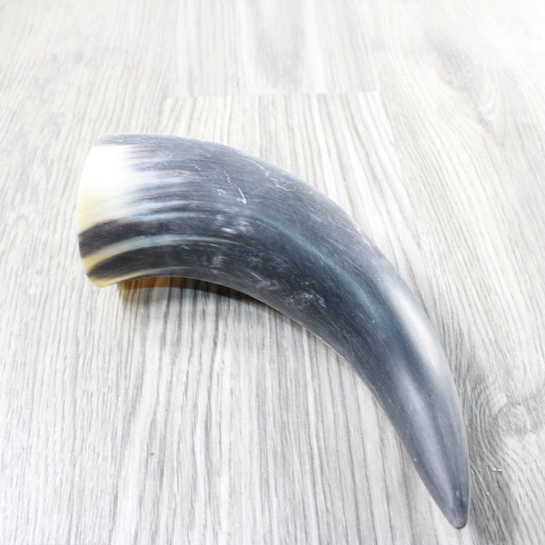 1 Raw Unfinished Cow Horn # 5953  Natural Colored
