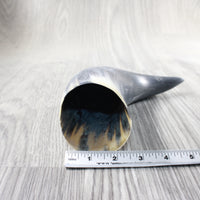 1 Raw Unfinished Cow Horn # 5953  Natural Colored