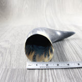 1 Raw Unfinished Cow Horn # 5953  Natural Colored