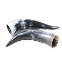 2 Polished Cow Horns #3953    Natural colored