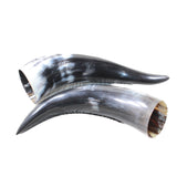 2 Polished Cow Horns #3953    Natural colored