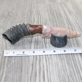 Springbok Horn Handle Stone Blade Ornamental Knife #6262    Mountain Man Knife