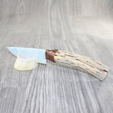 Cholla Cactus Wood Handle Opalite Blade Ornamental Knife #4262     Mountain Man Knife