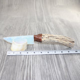 Cholla Cactus Wood Handle Opalite Blade Ornamental Knife #4262     Mountain Man Knife