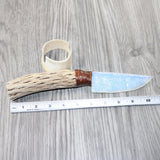 Cholla Cactus Wood Handle Opalite Blade Ornamental Knife #4262     Mountain Man Knife