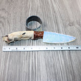 Coyote Foot Handle Opalite Blade Ornamental Knife #7262     Mountain Man Knife