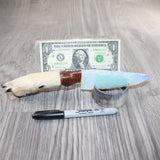 Coyote Foot Handle Opalite Blade Ornamental Knife #7262     Mountain Man Knife