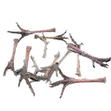 11 Turkey Feet  #0262    Taxidermy