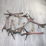 11 Turkey Feet  #0262    Taxidermy