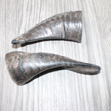 2 Small Polished Goat Horns #5262      Natural Colored