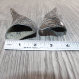 2 Small Polished Goat Horns #5262      Natural Colored