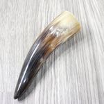 1 Small Polished Cow Horn #1154 Natural Colored
