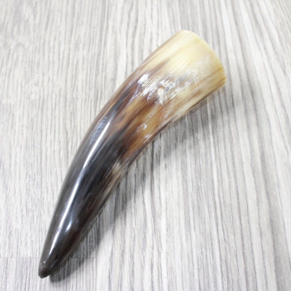 1 Small Polished Cow Horn #1154 Natural Colored