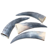 4 Raw Unfinished Cow Horns #6362     Natural Colored