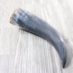 1 Raw Unfinished Cow Horn #3254   Natural Colored