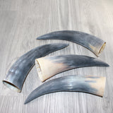 4 Raw Unfinished Cow Horns #6362     Natural Colored