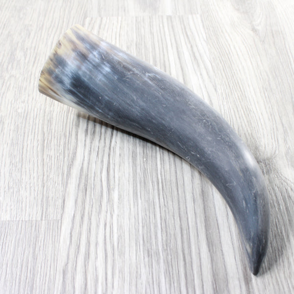 1 Raw Unfinished Cow Horn #3254   Natural Colored