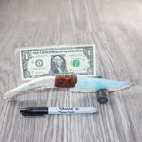 Coyote Jaw Handle Opalite Blade Ornamental Knife #8562     Mountain Man Knife