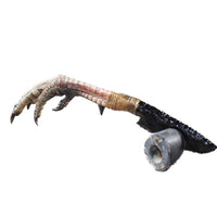 Turkey Foot Handle Obsidian Blade Ornamental Knife #73754  Mountain Man Knife