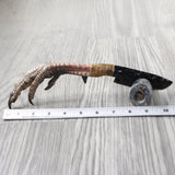 Turkey Foot Handle Obsidian Blade Ornamental Knife #73754  Mountain Man Knife