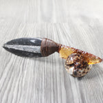 Orthoceras Fossil Handle Glass Blade Ornamental Knife #22154    Mountain Man Knife