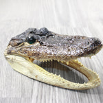1 Alligator  7.75  Inch Head  #0854    taxidermy gator reptile crocodile