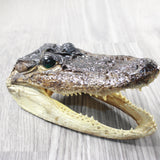 1 Alligator  7.75  Inch Head  #0854    taxidermy gator reptile crocodile