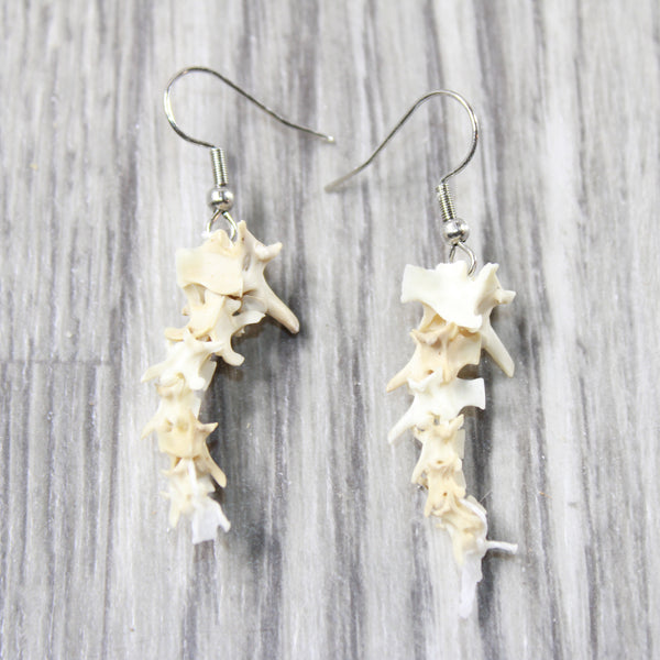 Rattlesnake Vertebrae  Earrings  #6854  Mountain Man Earrings
