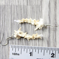 Rattlesnake Vertebrae  Earrings  #6854  Mountain Man Earrings