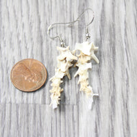 Rattlesnake Vertebrae  Earrings  #6854  Mountain Man Earrings