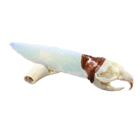 Muskrat Skull Handle Opalite Blade Ornamental Knife #3954    Mountain Man Knife