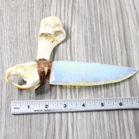 Muskrat Skull Handle Opalite Blade Ornamental Knife #3954    Mountain Man Knife