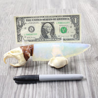 Muskrat Skull Handle Opalite Blade Ornamental Knife #3954    Mountain Man Knife