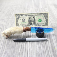 Coyote Foot Handle Glass Blade Ornamental Knife #1054    Mountain Man Knife