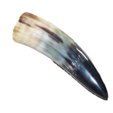 1 Small Polished Cow Horn #5962 Natural Colored