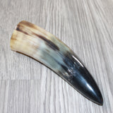 1 Small Polished Cow Horn #5962 Natural Colored