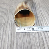 1 Small Polished Cow Horn #5962 Natural Colored