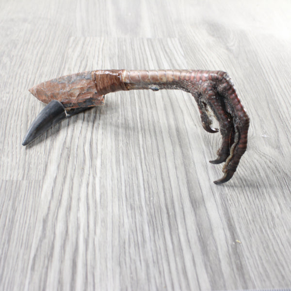 Turkey Foot Handle Stone Blade Ornamental Knife #9254    Mountain Man Knife