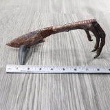 Turkey Foot Handle Stone Blade Ornamental Knife #9254    Mountain Man Knife