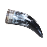 1 Small Polished Cow Horn #2062 Natural Colored