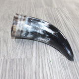 1 Small Polished Cow Horn #2062 Natural Colored